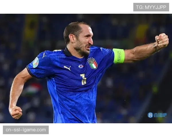 历史脉络:从“小世界杯”到复兴之路,梳理意甲联赛近三十年的兴衰起伏